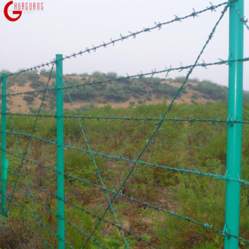 PVC Coated Galvanized Beautiful And Stable Barbed Wire