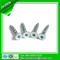 Tornillo Torx de Cabeza Plana con Zinc plateado con Logo