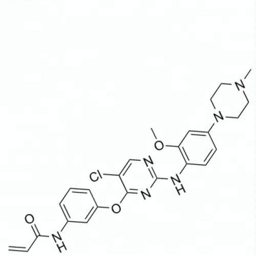 anti tumor powder  egfr inhibitor  cas 1213269-23-8 WZ4002