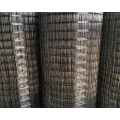 Black Wire Welded Wire Mesh