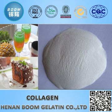 fish collagen peptide