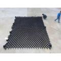 High Density Polyethylene HDPE Geocell Reinforcement