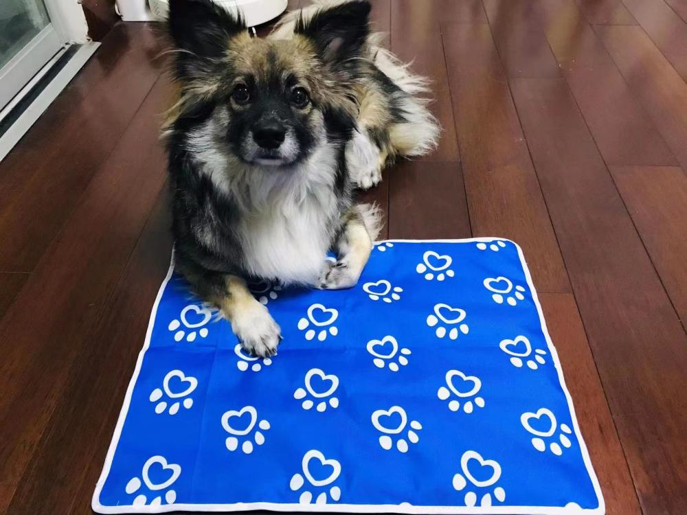 Pet Cooling Mat Back Jpg Pet Cooling Mat Back Jpg