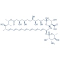 Amphotericin B 1397-89-3