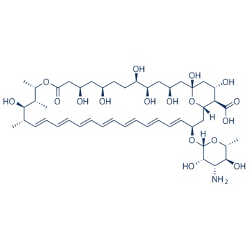 Anfotericina B 1397-89-3