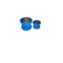 Water valve ductile iron vertical check valve