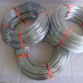 500kg bwg22 hot dipped galvanized iron wire