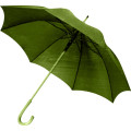 Manual Open Green Frame&Handle Straight Umbrella (BD-64)