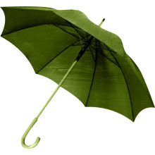 Manual Abra el marco verde y maneja el paraguas recto (BD-64)