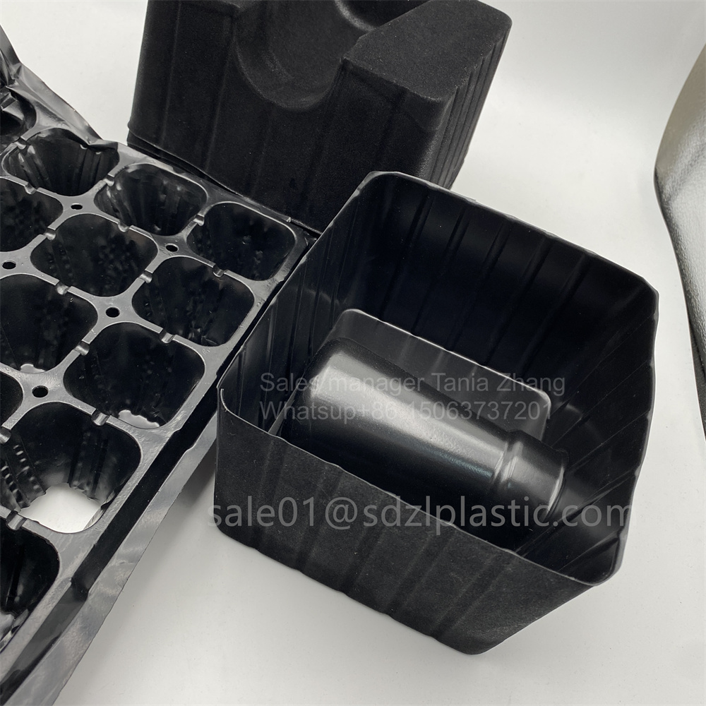 Black Seedling Ps Tray Wine Tray 11 Jpg Black Seedling Ps Tray Wine Tray 11 Jpg