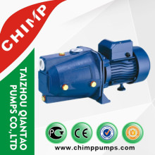 Italien Type Chine Haute qualité 450W Pompe à eau simple