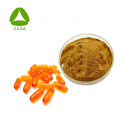 Cordyceps militaris extracto cordycepin 1% 98% polvo