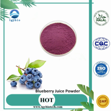 Hot Selling Product Blueberry Powder /Blueberry Juice Powder