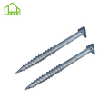 Good Quality Low Price Ground Screw