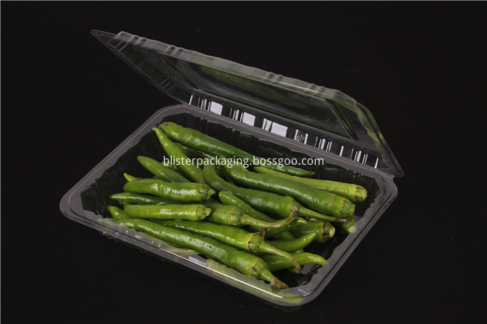 Plastic Dry Chili Container