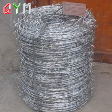 Hot Dipped Galvanized Barbed Wire Mesh