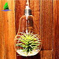 Light Bulb Shape Hanging Glass Vase