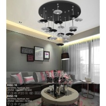 Modern Simpleness LED Decoration Light (8966-16)