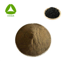 Seaweed / Alga Extract Powder Fertilizer