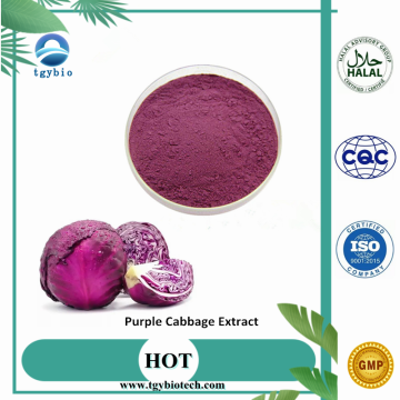 Cabbage rouge pur / Extrait de chou violet Anthocyanes