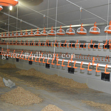 Equipo automático de alimentación y consumo de aves de corral para pollos
