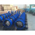 Double Flanged Butterfly Valve (WDS)