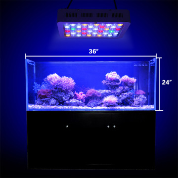 Dimmable LED-Licht mit Schalter Aquariumkoralle