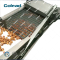 Palm Date processing machine