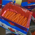 New Harvest Good Quality of Fresh Carrot