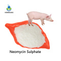 Sulfato de neomicina Sulfato Farmacêutico Matéria -prima em pó de suprimento de pó