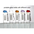 Portable Double Wall Glass Tea Bottle with Infusion