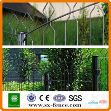 green gardening border fence