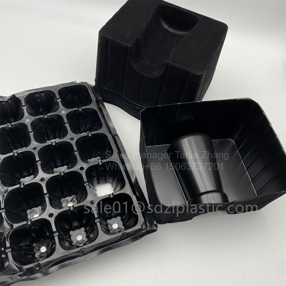 Black Seedling Ps Tray Wine Tray 12 Jpg Black Seedling Ps Tray Wine Tray 12 Jpg