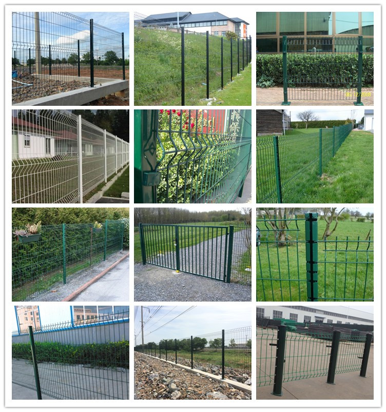 Wire Mesh Fence