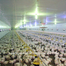 Machines de hangar de poulets contrôlées par environnement entier réglé pour le poulailler