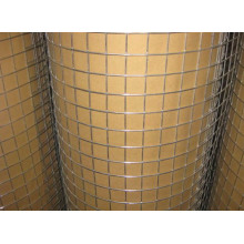 The Best Price Galvanized Welded Wire Mesh