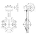 Resilient Seated Butterfly Valve (Lug Type)