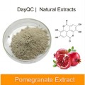 High Quality Plant Extract Pomegranate Extract