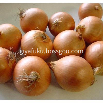 Yellow onion