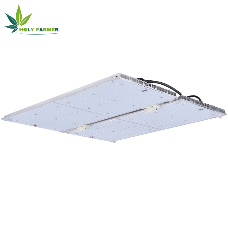 400wledgrowlight1