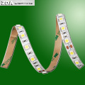 DC12V / 24V SMD5050 LED verde Tira de luz flexible