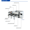 CNC-Holzbearbeitungs-Schneideplatten-Format-Schiebetisch-Säge-Maschine