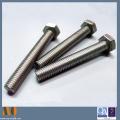 Stainless Steel Hexagon Socket Head Cap Screw