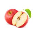 Apple Apfelwein Essig Extrakt natürliches Rohpulver