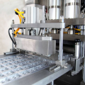 Fully Automatic Vial Ampoule Blister Packing Machine