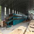 The Jet Ventilated Automatic Roller Track Veneer Dryer