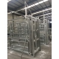 Galvanized Heavy duty cattle crush used feed machine