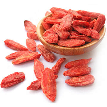 Medlar High Quality Organic Goji Bessen