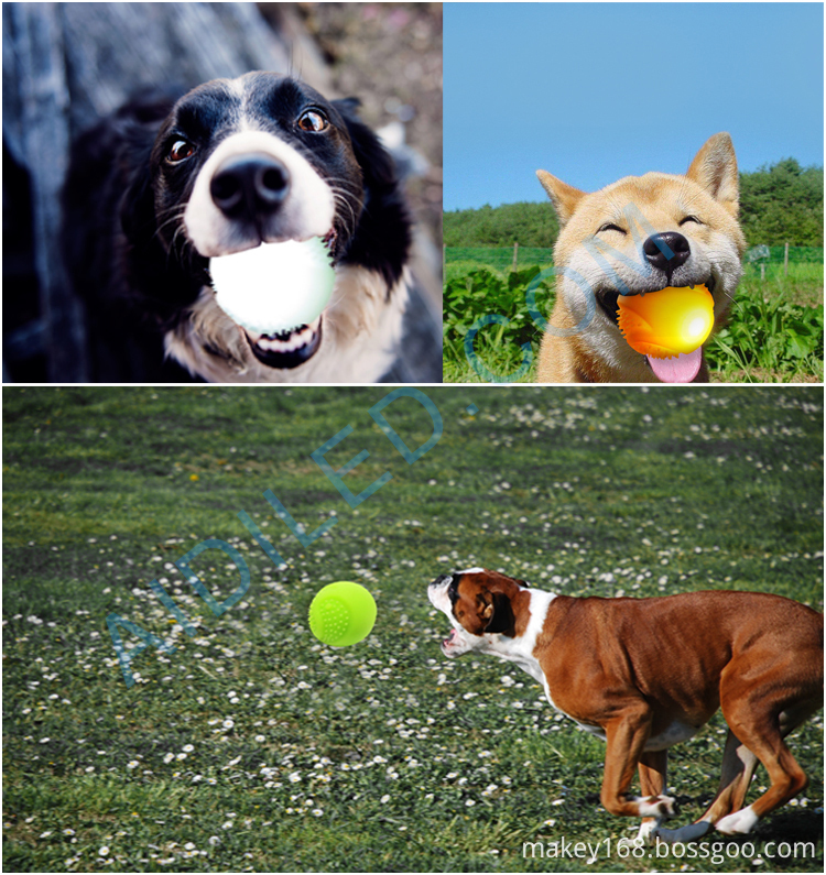 Dog Ball Toys