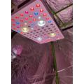 Phlizon 2000w Cob LED Grow Light